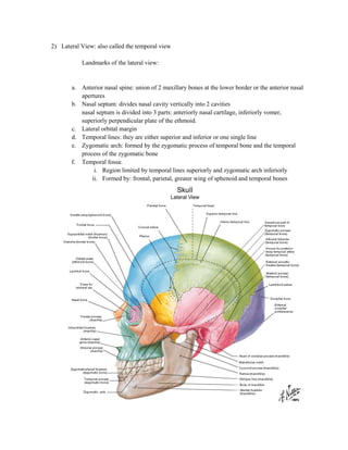 2) Lateral View: also called the temporal view

           Landmarks of the lateral view:


       a. Anterior nasal spine: union of 2 maxillary bones at the lower border or the anterior nasal
          apertures
       b. Nasal septum: divides nasal cavity vertically into 2 cavities
          nasal septum is divided into 3 parts: anteriorly nasal cartilage, inferiorly vomer,
          superiorly perpendicular plate of the ethmoid.
       c. Lateral orbital margin
       d. Temporal lines: they are either superior and inferior or one single line
       e. Zygomatic arch: formed by the zygomatic process of temporal bone and the temporal
          process of the zygomatic bone
       f. Temporal fossa:
               i. Region limited by temporal lines superiorly and zygomatic arch inferiorly
              ii. Formed by: frontal, parietal, greater wing of sphenoid and temporal bones
 