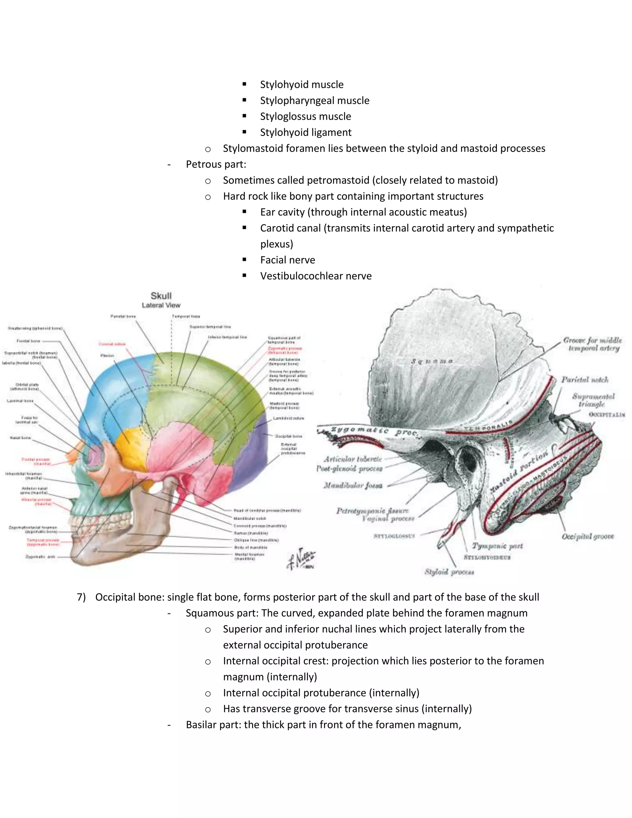 The Skull Notes.pdf Skull notes | DOCX