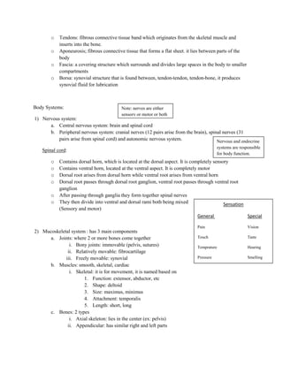 The Skull Notes.pdf Skull notes | DOCX