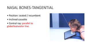 NASAL BONES-TANGENTIAL
• Position: seated / recumbent
• Inclined cassette
• Central ray: parallel to
glabelloalveolar line
 