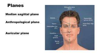 Planes
Median sagittal plane
Anthropological plane
Auricular plane
 