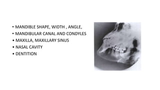 • MANDIBLE SHAPE, WIDTH , ANGLE,
• MANDIBULAR CANAL AND CONDYLES
• MAXILLA, MAXILLARY SINUS
• NASAL CAVITY
• DENTITION
 