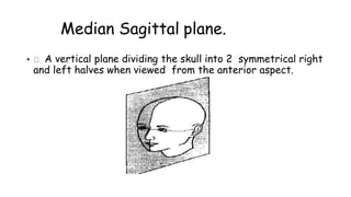 The Median Sagittal plane.
• A vertical plane dividing the skull into 2 symmetrical right
and left halves when viewed from the anterior aspect.
 