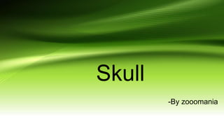 Skull
-By zooomania
 