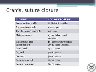 SKULL SUTURES.pptx Biology Diagrams