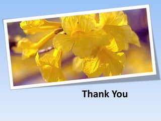 Thank You
Thank You
 