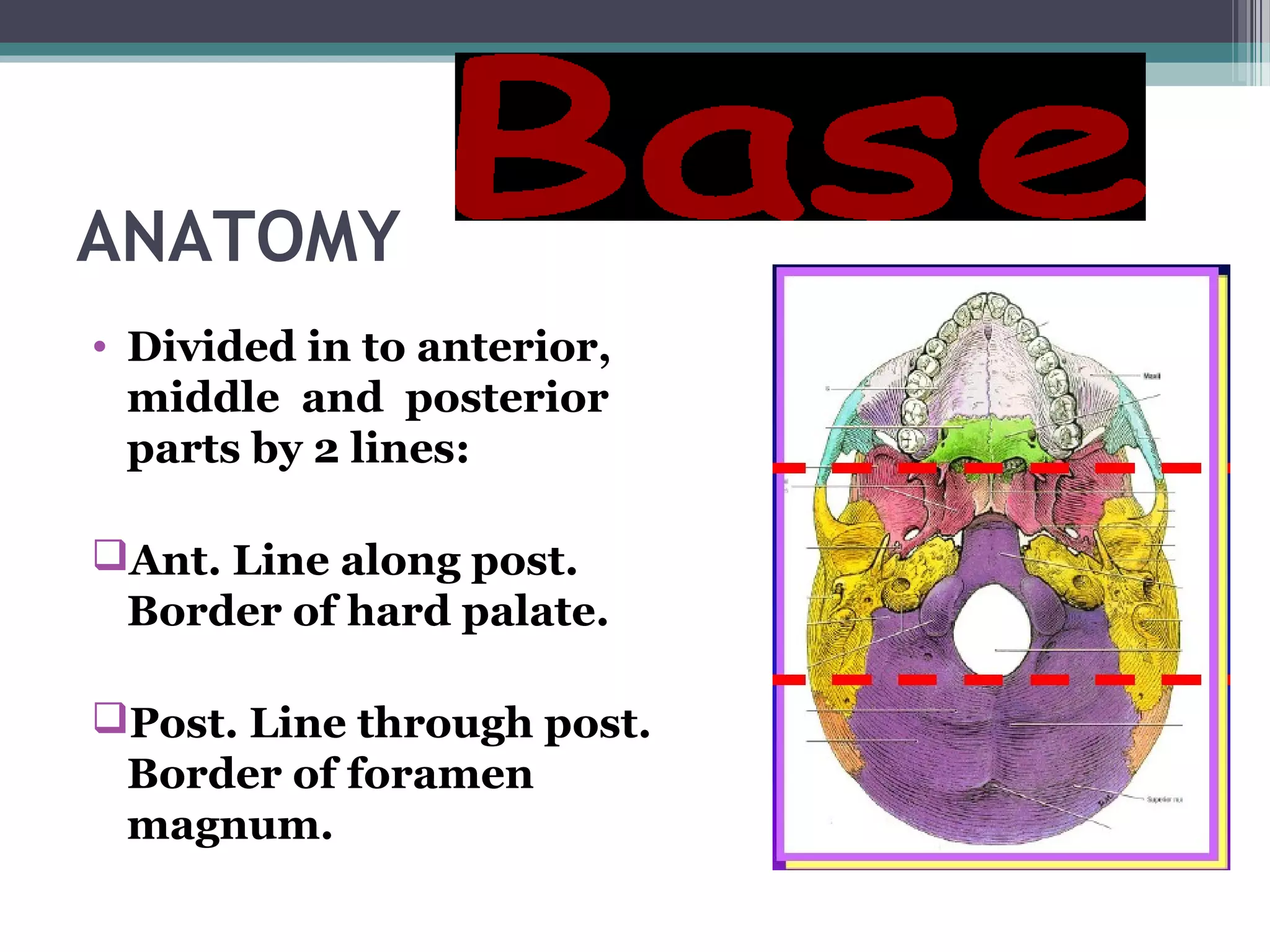 ANATOMY
• Divided in to anterior,
middle and posterior
parts by 2 lines:
Ant. Line along post.
Border of hard palate.
Post. Line through post.
Border of foramen
magnum.
 
