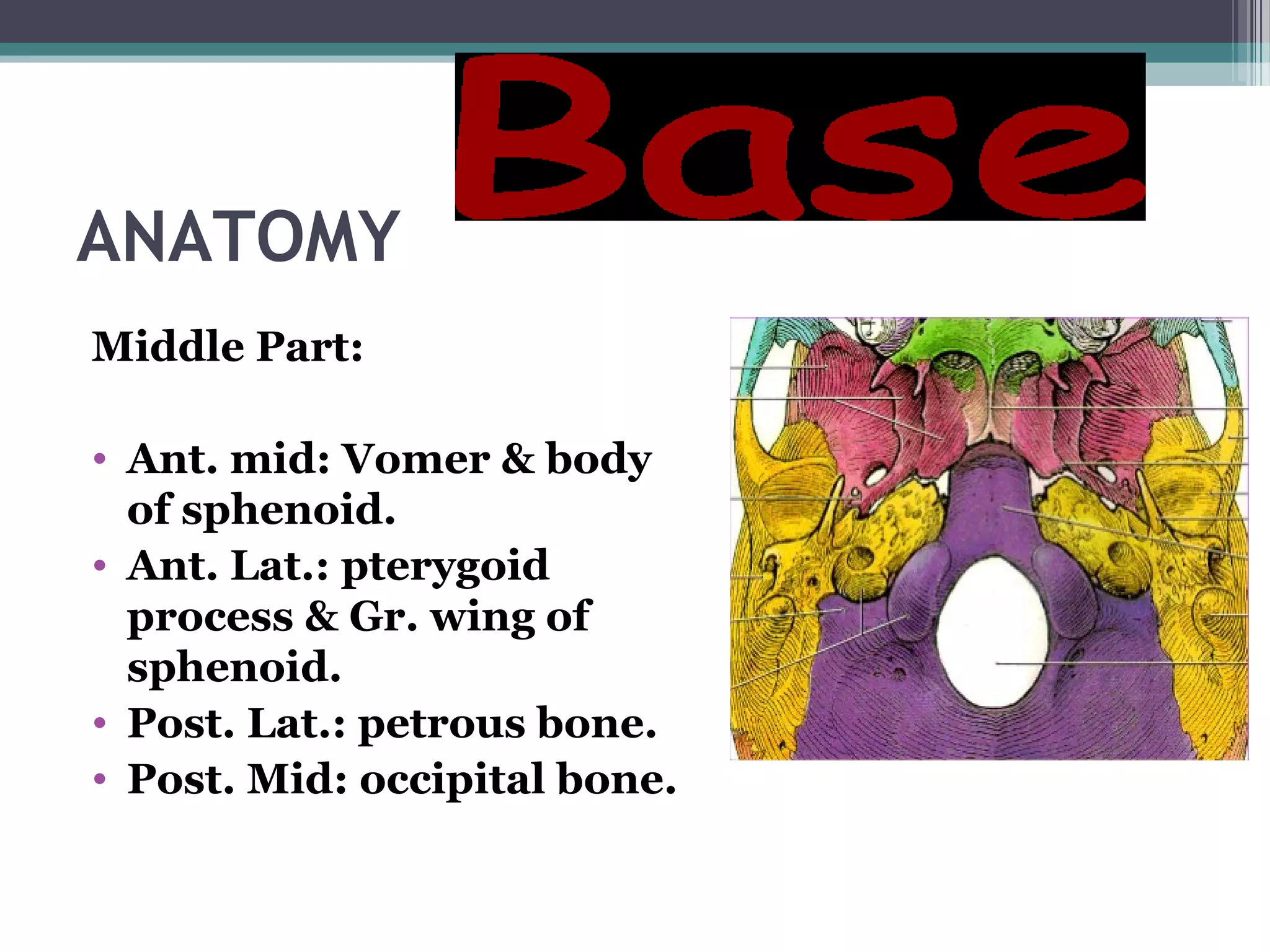 ANATOMY
Middle Part:
• Ant. mid: Vomer & body
of sphenoid.
• Ant. Lat.: pterygoid
process & Gr. wing of
sphenoid.
• Post. Lat.: petrous bone.
• Post. Mid: occipital bone.
 