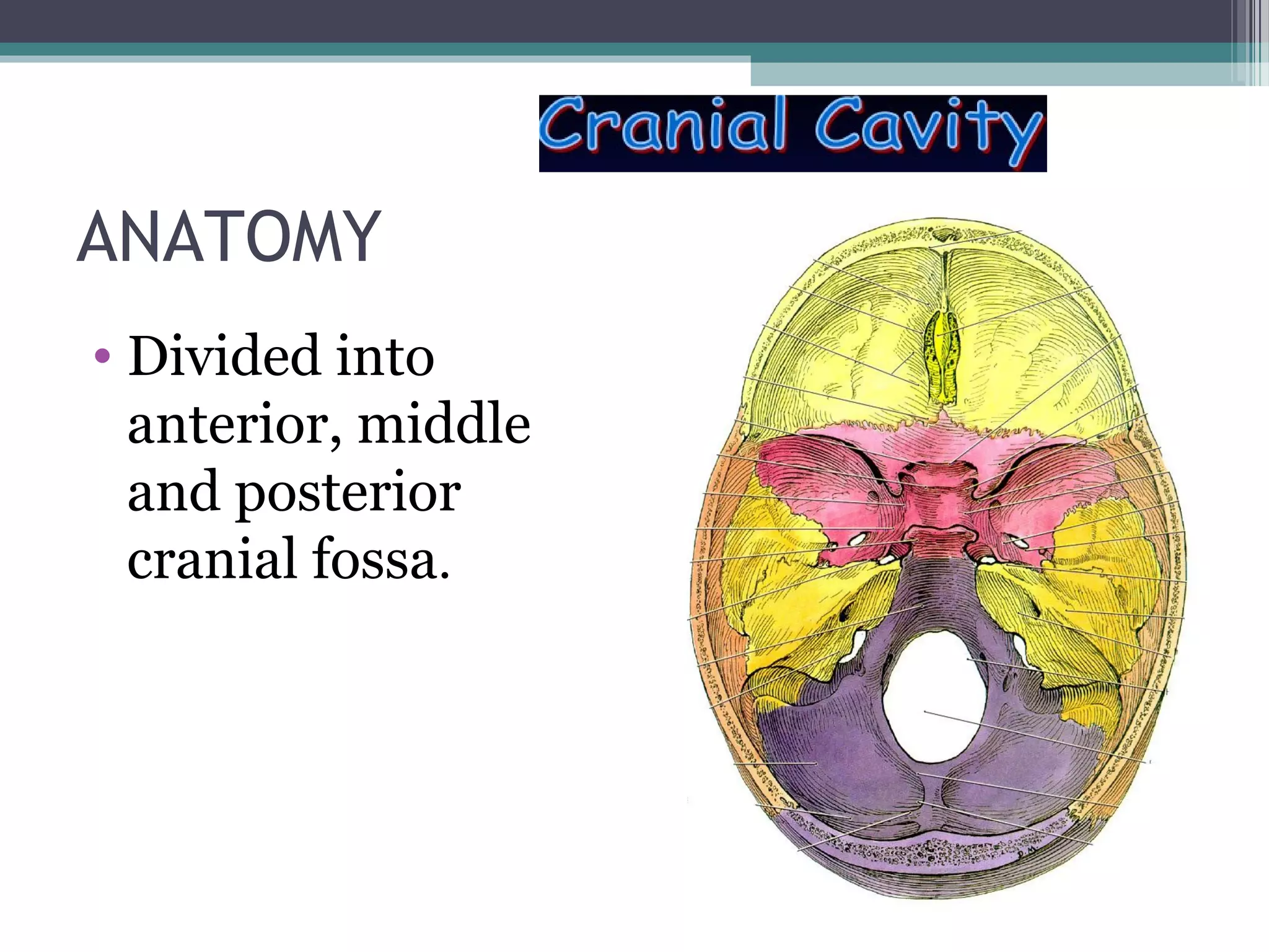 ANATOMY
• Divided into
anterior, middle
and posterior
cranial fossa.
 