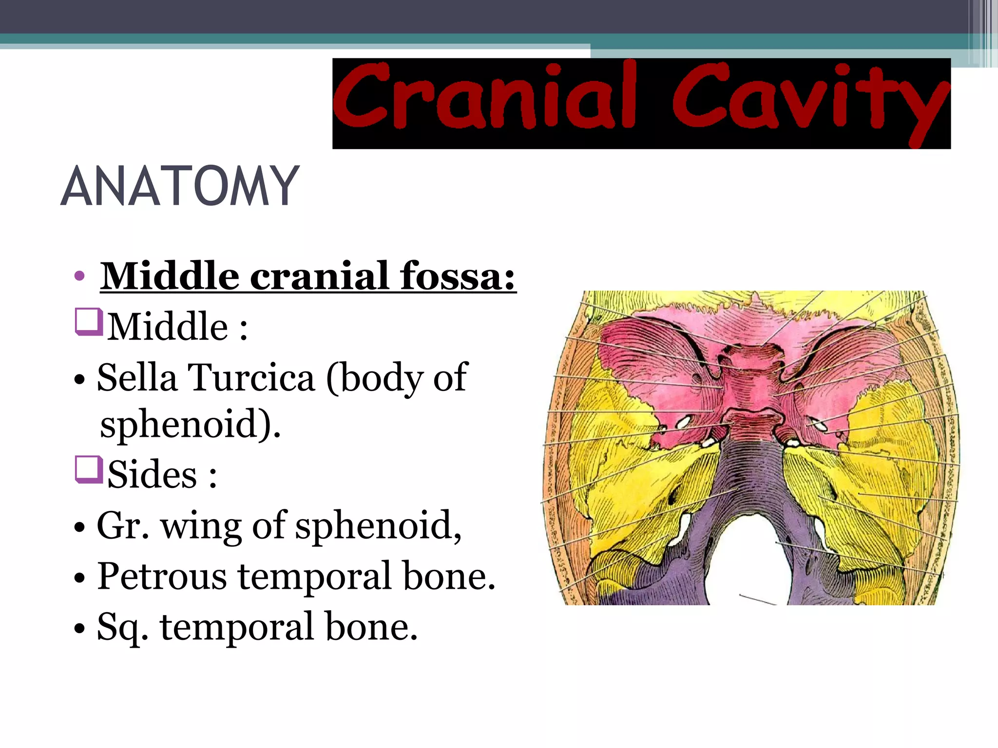 ANATOMY
• Middle cranial fossa:
Middle :
• Sella Turcica (body of
sphenoid).
Sides :
• Gr. wing of sphenoid,
• Petrous temporal bone.
• Sq. temporal bone.
 