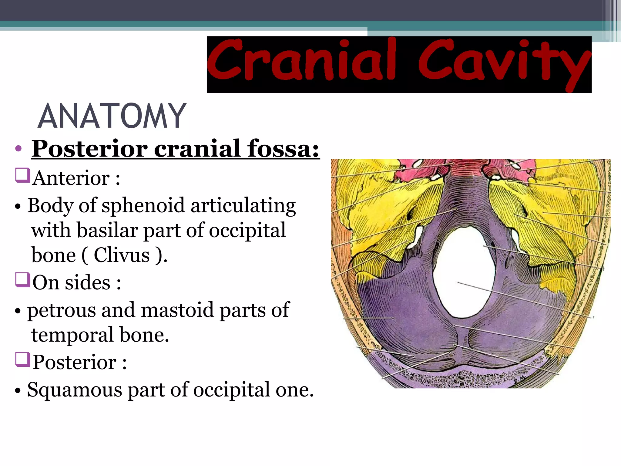 ANATOMY
• Posterior cranial fossa:
Anterior :
• Body of sphenoid articulating
with basilar part of occipital
bone ( Clivus ).
On sides :
• petrous and mastoid parts of
temporal bone.
Posterior :
• Squamous part of occipital one.
 