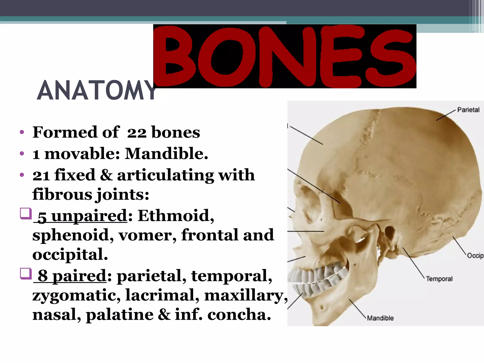 ANATOMY
• Formed of 22 bones
• 1 movable: Mandible.
• 21 fixed & articulating with
fibrous joints:
 5 unpaired: Ethmoid,
sphenoid, vomer, frontal and
occipital.
 8 paired: parietal, temporal,
zygomatic, lacrimal, maxillary,
nasal, palatine & inf. concha.
 