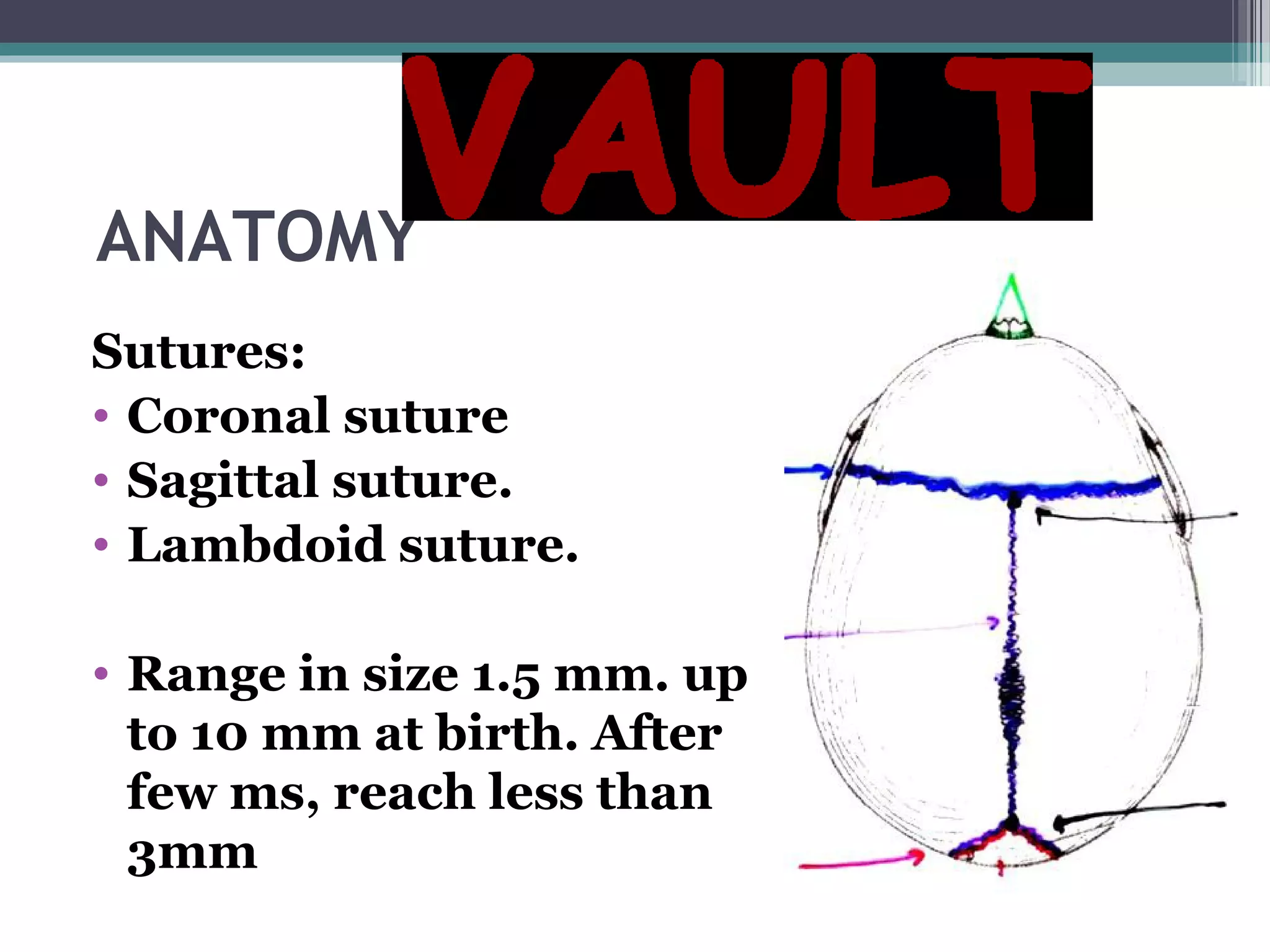 ANATOMY
Sutures:
• Coronal suture
• Sagittal suture.
• Lambdoid suture.
• Range in size 1.5 mm. up
to 10 mm at birth. After
few ms, reach less than
3mm
 