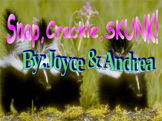 Snap,Crackle,SKUNK! By:Joyce & Andrea 