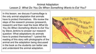 Animal Adaptation
Lesson 2: What Do You Do When Something Wants to Eat You?
In this lesson, we discuss if camouflage is
the only animal adaptation that animals
have to protect themselves. We review the
steps of the research process (presearch,
research) and then read the book What Do
You Do When Something Wants to Eat You
by Steve Jenkins to answer our research
question: What adaptations do animals
have to protect themselves? I paired the
reading of this story with photographs of the
animal and the adaptation being discussed
in the book so the students can better see
and understand the animal adaptation.
 