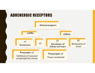 SKV Adrenergic And Cholinergic system | PDF