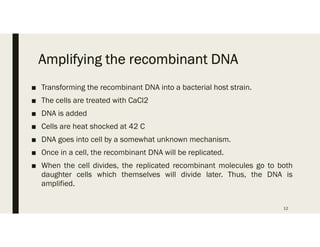 Amplifying the recombinant DNA
■ Transforming the recombinant DNA into a bacterial host strain.
■ The cells are treated with CaCl2
■ DNA is added
■ Cells are heat shocked at 42 C
■ DNA goes into cell by a somewhat unknown mechanism.
■ Once in a cell, the recombinant DNA will be replicated.
■ When the cell divides, the replicated recombinant molecules go to both
daughter cells which themselves will divide later. Thus, the DNA is
amplified.
12
 