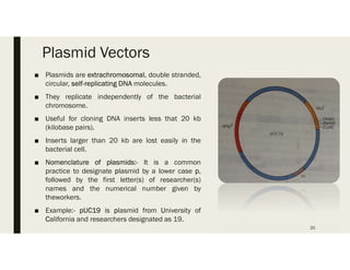 Plasmid Vectors
■ Plasmids are extrachromosomal, double stranded,
circular, self-replicating DNA molecules.
■ They replicate independently of the bacterial
chromosome.
■ Useful for cloning DNA inserts less that 20 kb
(kilobase pairs).
■ Inserts larger than 20 kb are lost easily in the
bacterial cell.
■ Nomenclature of plasmids:- It is a common
practice to designate plasmid by a lower case p,
followed by the first letter(s) of researcher(s)
names and the numerical number given by
theworkers.
■ Example:- pUC19 is plasmid from University of
California and researchers designated as 19.
20
 