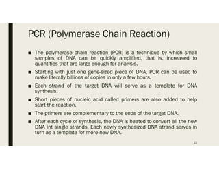 PCR (Polymerase Chain Reaction)
■ The polymerase chain reaction (PCR) is a technique by which small
samples of DNA can be quickly amplified, that is, increased to
quantities that are large enough for analysis.
■ Starting with just one gene-sized piece of DNA, PCR can be used to
make literally billions of copies in only a few hours.
■ Each strand of the target DNA will serve as a template for DNA
synthesis.
■ Short pieces of nucleic acid called primers are also added to help
start the reaction.
■ The primers are complementary to the ends of the target DNA.
■ After each cycle of synthesis, the DNA is heated to convert all the new
DNA int single strands. Each newly synthesized DNA strand serves in
turn as a template for more new DNA.
22
 