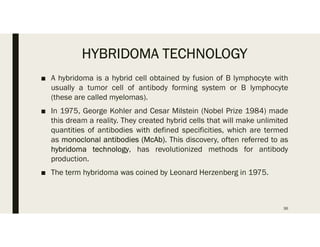 HYBRIDOMA TECHNOLOGY
■ A hybridoma is a hybrid cell obtained by fusion of B lymphocyte with
usually a tumor cell of antibody forming system or B lymphocyte
(these are called myelomas).
■ In 1975, George Kohler and Cesar Milstein (Nobel Prize 1984) made
this dream a reality. They created hybrid cells that will make unlimited
quantities of antibodies with defined specificities, which are termed
as monoclonal antibodies (McAb). This discovery, often referred to as
hybridoma technology, has revolutionized methods for antibody
production.
■ The term hybridoma was coined by Leonard Herzenberg in 1975.
36
 