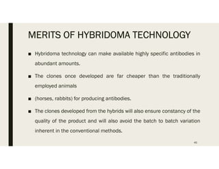 MERITS OF HYBRIDOMA TECHNOLOGY
■ Hybridoma technology can make available highly specific antibodies in
abundant amounts.
■ The clones once developed are far cheaper than the traditionally
employed animals
■ (horses, rabbits) for producing antibodies.
■ The clones developed from the hybrids will also ensure constancy of the
quality of the product and will also avoid the batch to batch variation
inherent in the conventional methods.
40
 