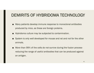 DEMIRITS OF HYBRIDOMA TECHNOLOGY
■ Many patients develop immune response to monoclonal antibodies
produced by mice, as these are foreign proteins.
■ Hybridoma culture may be subjected to contamination.
■ System is only well developed for mouse and rat and not for the other
animals.
■ More than 99% of the cells do not survive during the fusion process-
reducing the range of useful antibodies that can be produced against
an antigen.
41
 