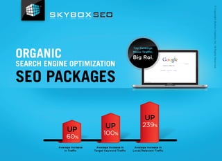 Skybox Organic SEO