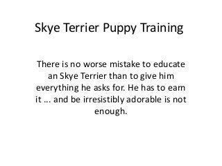 Skye Terrier Puppy Training

There is no worse mistake to educate
     an Skye Terrier than to give him
everything he asks for. He has to earn
it ... and be irresistibly adorable is not
                  enough.
 