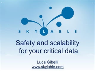Safety and scalability 
for your critical data 
Luca Gibelli 
www.skylable.com 
 