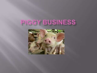 Piggy business 