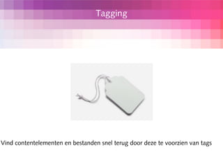Tagging




Vind contentelementen en bestanden snel terug door deze te voorzien van tags
 