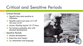 Critical and Sensitive Periods
¨  Critical Periods
¤  Specific time most sensitive to
influences
¤  Specific event must occur or it will
not occur at all
¤  Lorenz: Gosling imprint 12-17 hours
¤  For humans, probably only with
physical development
¨  Sensitive Periods
¤  Human development
¤  Event has most impact
¤  i.e. attachment and language
 
