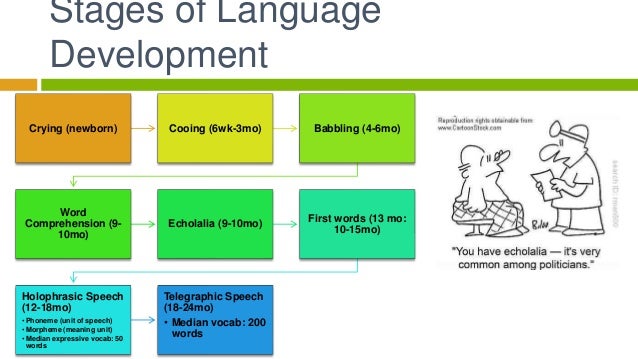 Stages Of Language Development Chart