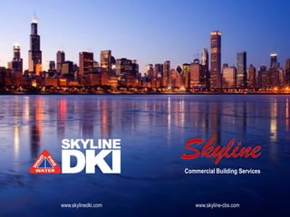 Commercial Building Services




www.skylinedki.com       www.skyline-cbs.com
 