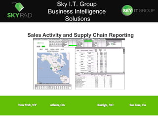   Sales Activity and Supply Chain Reporting  Sky I.T. Group  Business Intelligence  Solutions 