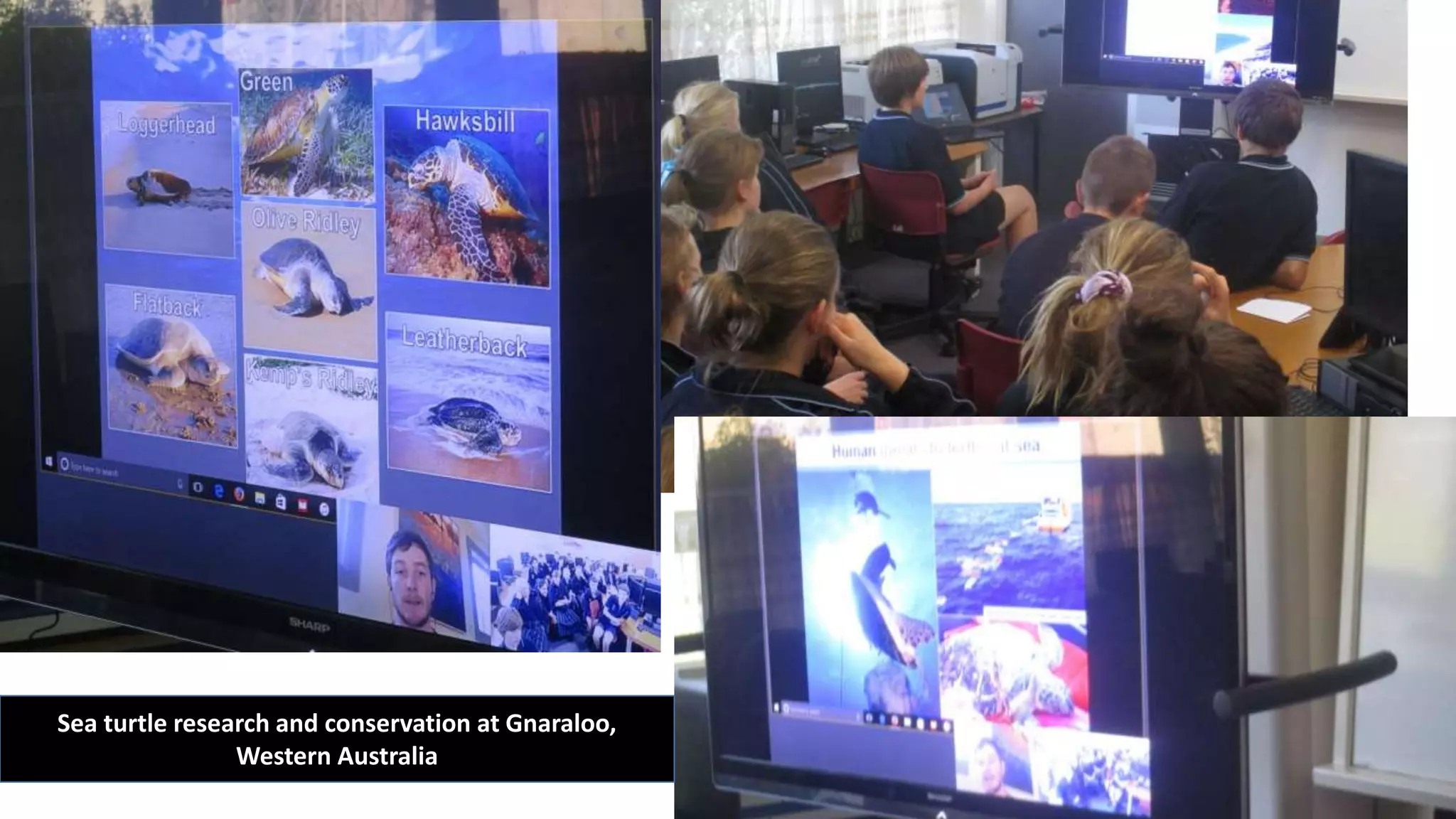 Sea turtle research and conservation at Gnaraloo,
Western Australia
 