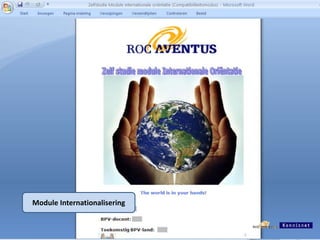 Module Internationalisering