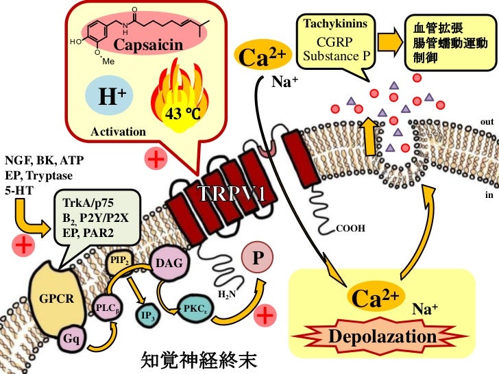 Sky sci presents (ur_uha)
