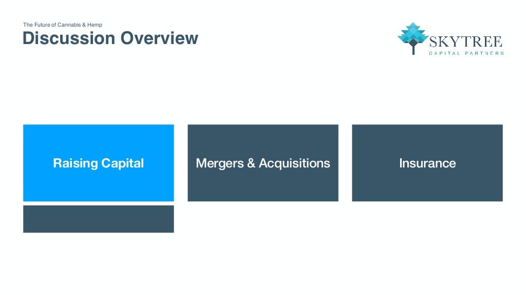 Raising Private Equity Capital for Expansion, Insurance