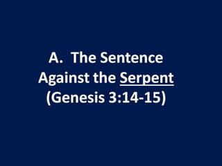 RHBC 386: Trouble In Paradise