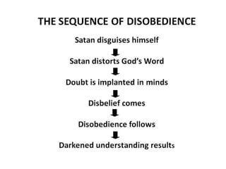 RHBC 386: Trouble In Paradise