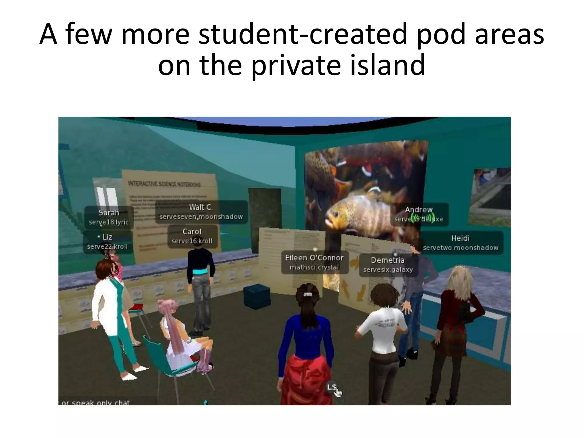 A few more student-created pod areas
        on the private island
 