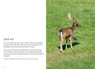 DEER ALP
On the so called "deer alp", the inn Jelenov Greben, the deli Zlata
skrinjica and the wine shop "Star' ata", which is dedicated to the
grandfather of the home side, Ivan Adman, is found.
In the wine cellar guests can participate in various wine tastings.
The charming inn offers seating for up to 350 people. Especially
bracing is the smell of freshly baked bread, which ﬂows through the
restaurant.
For further information on the Internet, please click here: Jelenov Greben

19

 