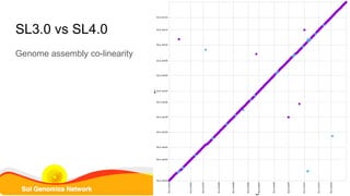 SL3.0 vs SL4.0
Genome assembly co-linearity
 