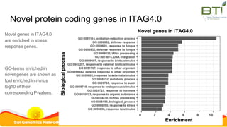 Novel protein coding genes in ITAG4.0
Novel genes in ITAG4.0
are enriched in stress
response genes.
GO-terms enriched in
novel genes are shown as
fold enriched in minus
log10 of their
corresponding P-values.
 