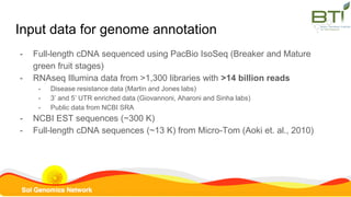 Input data for genome annotation
- Full-length cDNA sequenced using PacBio IsoSeq (Breaker and Mature
green fruit stages)
...