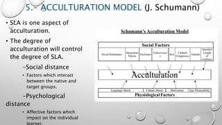 5.- ACCULTURATION MODEL (J. Schumann)
• SLA is one aspect of
acculturation.
• The degree of
acculturation will control
the degree of SLA.
-Social distance
• Factors which interact
between the native and
target groups.
-Psychological
distance
• Affective factors which
impact on the individual
 