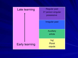 ‘ ing’ Plural copula Auxiliary article Irregular past Regular past 3 rd  person singular possessive  Late learning Early learning 