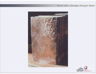Mould after Damage through Water
 