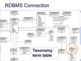 Establish rules for 	term useSuggest indexing 	termsThesaurustoolIndexingtoolValidate terms